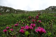 79 Risalgo alla croce del Passo di Tartano